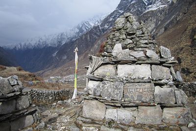Pierre gravée dans la vallée du Langtang - Népal