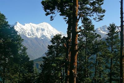 © Dorjee Sherpa - Vallée du Langtang - Népal Vallée du Langtang - Népal