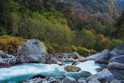 © Thomas Callens - Vallée du Langtang - Népal Vallée du Langtang - Népal