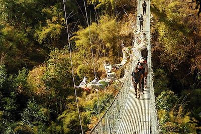 © Thomas Callens - Vallée du Langtang - Népal Vallée du Langtang - Népal