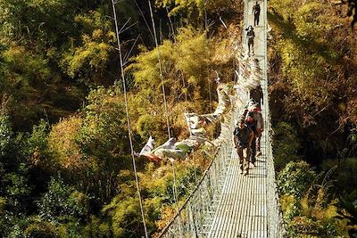 Vallée du Langtang - Népal