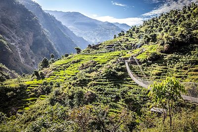 © Yann Tosseyn - Tour du Manaslu - Népal Tour du Manaslu - Népal