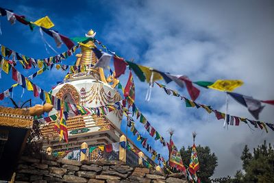 © Yann Tosseyn - Tour du Manaslu - Népal Tour du Manaslu - Népal