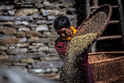 © Yann Tosseyn - Tour du Manaslu - Népal Tour du Manaslu - Népal