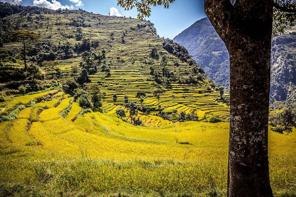 Voyage Tour du Manaslu 2