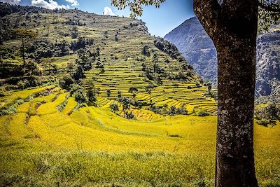 © Yann Tosseyn - Tour du Manaslu - Népal Tour du Manaslu - Népal