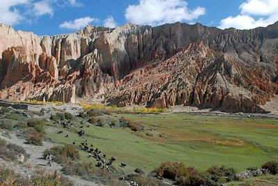 © Jean-Bernard Desbat - Village de Dhakmar - Mustang Village de Dhakmar - Mustang