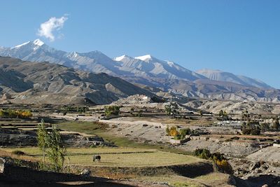 © Jean-Bernard Desbat - Village de Lo Manthang - Mustang Village de Lo Manthang - Mustang