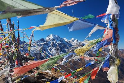 © Thomas Callens - Vallée du Langtang - Népal Vallée du Langtang - Népal