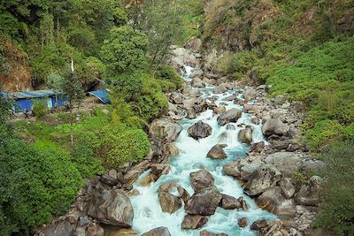 © Thomas Callens - Vallée du Langtang - Népal Vallée du Langtang - Népal