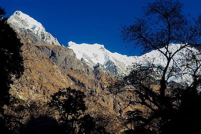 © Thomas Callens - Vallée du Langtang - Népal Vallée du Langtang - Népal