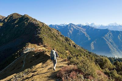 © GUIZIOU Franck / hemis.fr - Randonnée dans le Parc national du Langtang - Népal Randonnée dans le Parc national du Langtang - Népal