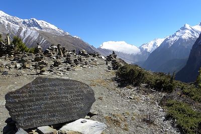 Ledar - Tour du massif des Annapurnas - Népal