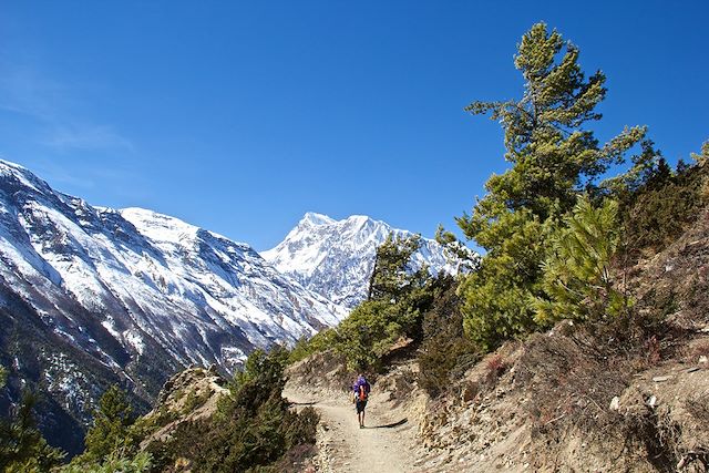 Voyage Tour des Annapurnas
