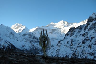 Voyage Trek du Kangchenjunga 1