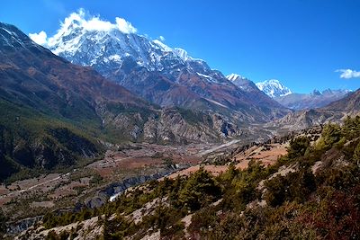© Rémi Lasseigne - Près du village de Ngawal - Annapurna - Népal Près du village de Ngawal - Annapurna - Népal
