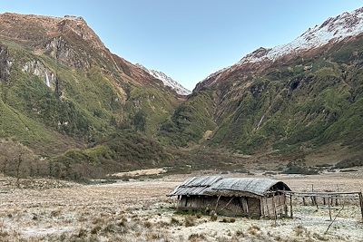 Alpage de Saldim Kharka - Népal