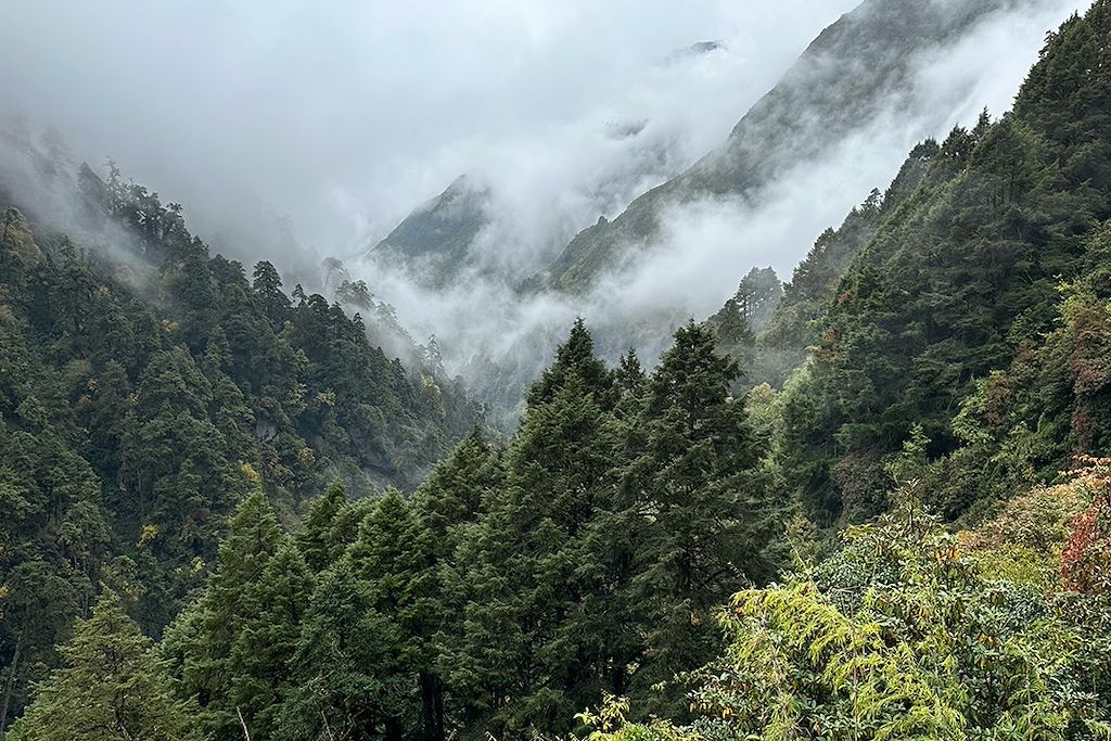 Image Great Himalayan Trail - Trek Kangchenjunga - Trek Makalu