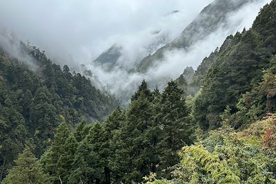 Sentier forestier en direction du village d'Olangjung Gola- Népal