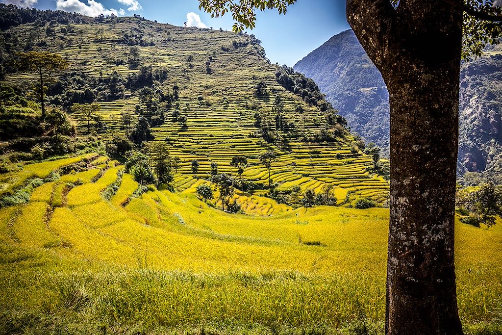 Image Trek Népal - Trekking Manaslu - Tour du Manaslu