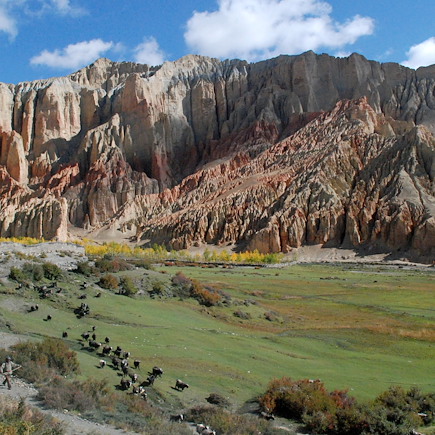 Trek Népal