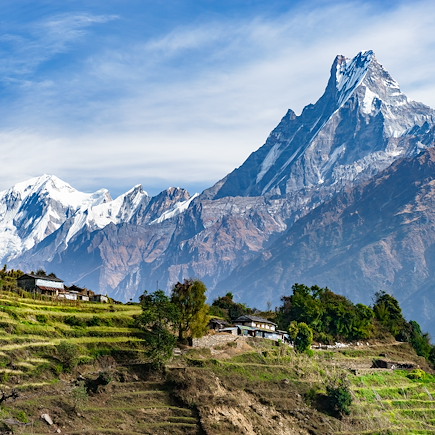 Trek Népal Annapurnas