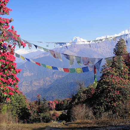 Trek Népal Annapurnas