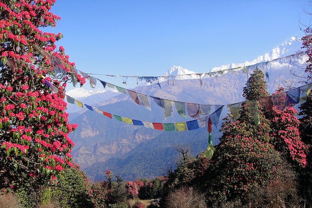 Image Balcon des Annapurnas - Sanctuaire des Annapurnas - Dhaulagiri