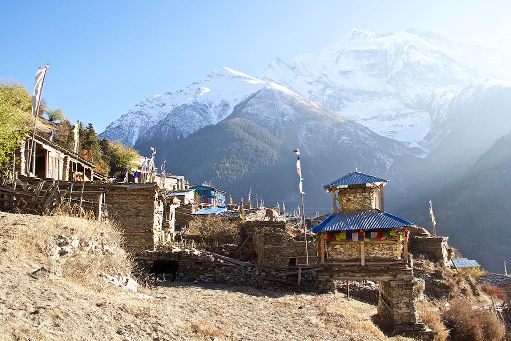 Image Randonnée Népal - Trekking Annapurna - Poon Hill