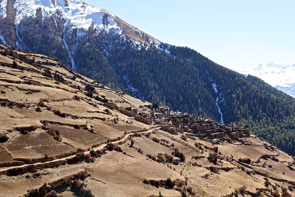 Image Randonnée Népal - Trekking Annapurna - Poon Hill