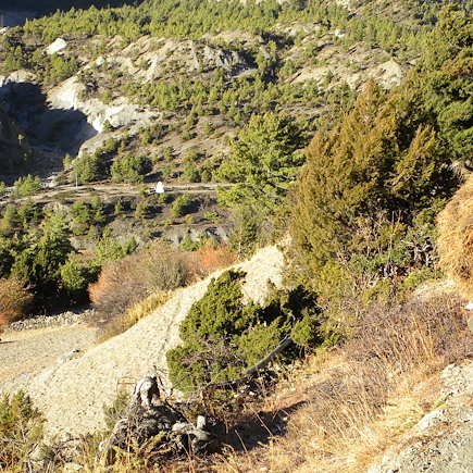 Trek Népal Annapurnas