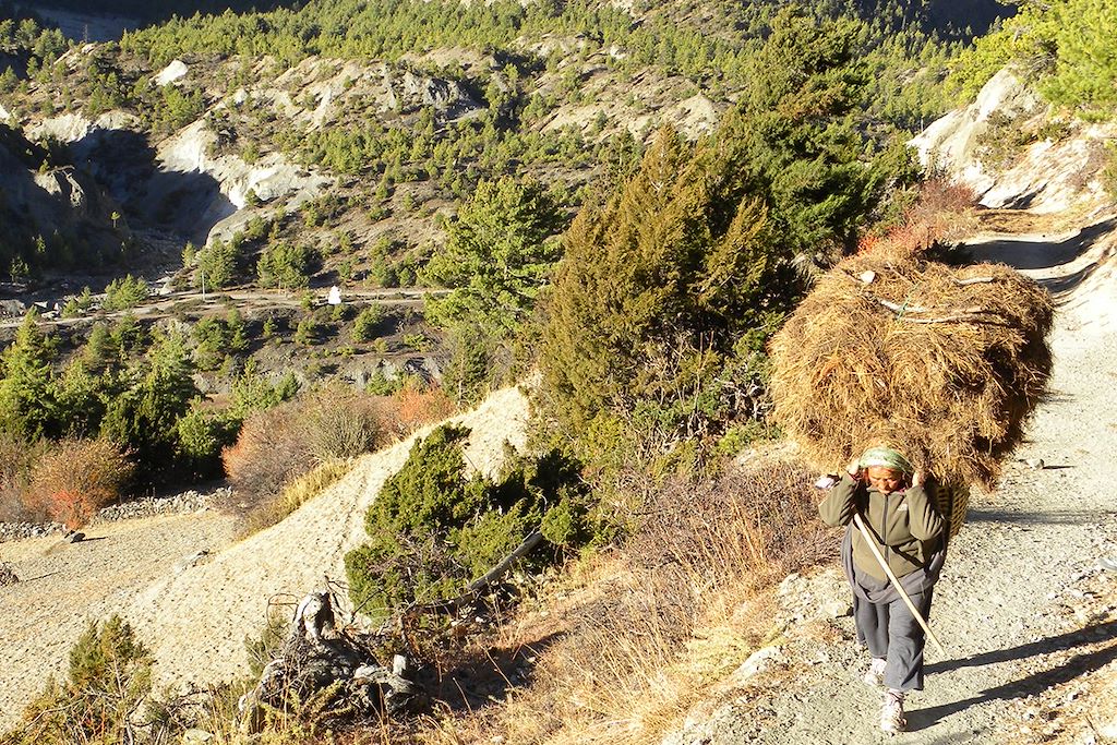Image Randonnée Népal - Trekking Annapurna - Poon Hill
