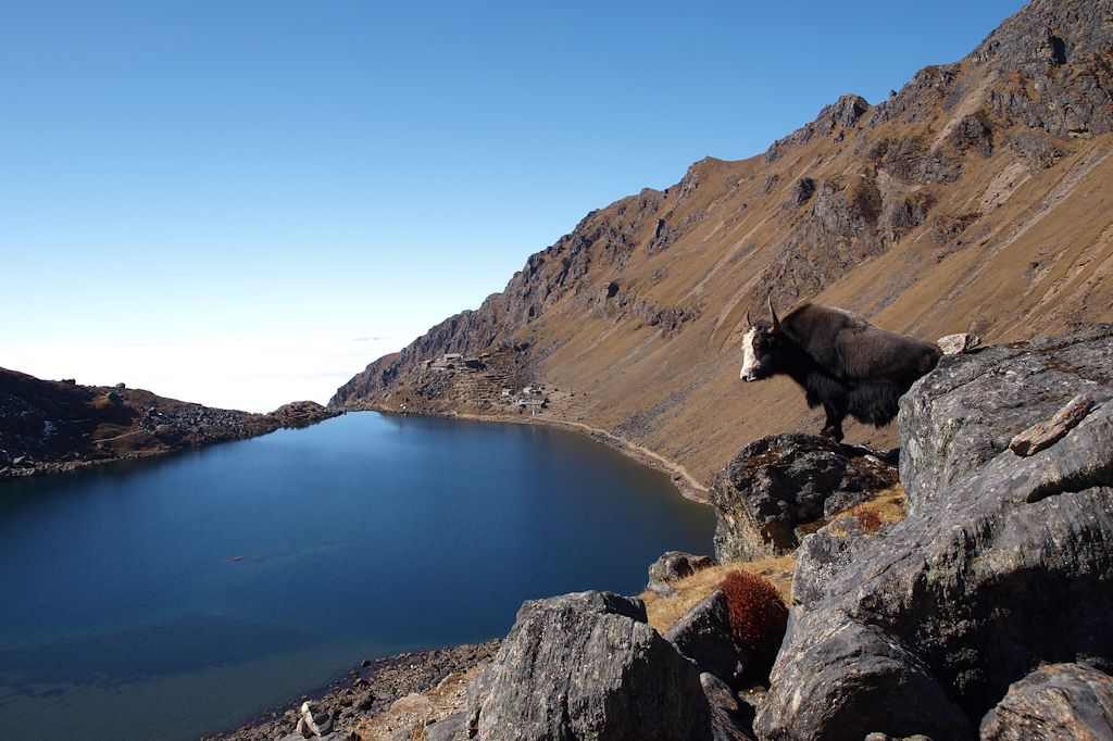Image Trek Népal - Trek Langtang - Lacs de Gosainkund