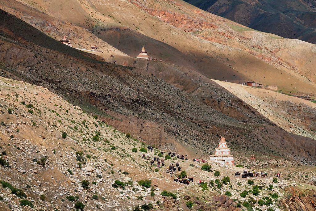 Image Trek Népal - Trek Haut Dolpo - Circuit accompagné