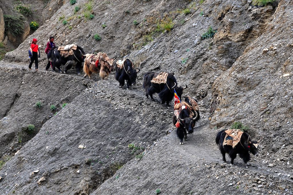 Image Trek Népal - Trek Haut Dolpo - Circuit accompagné