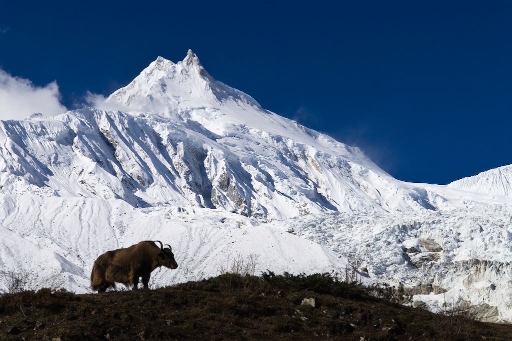 Image Randonnée Lac Tilicho - Trek Larkya La - Visite Katmandou