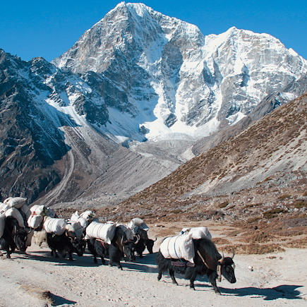 Trek Népal Everest
