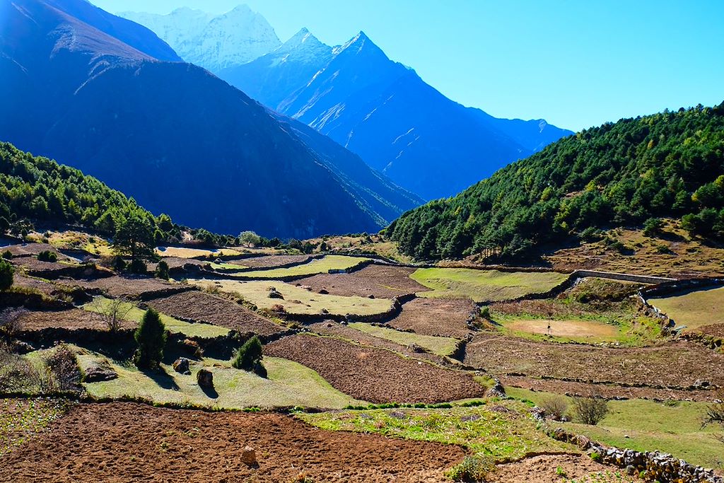 Image Trek Népal - Camp de base de l'Ama Dablam - Randonnée Khumbu