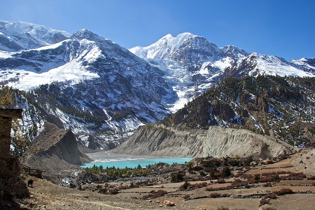 Image Trekking Annapurnas - Col Thorong Pass - Trek Népal