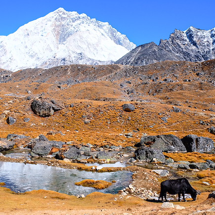 Trek Népal Everest