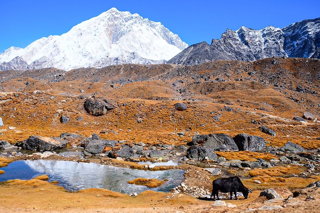 Image Trekking Everest - Kala Pattar - Trek Himalaya