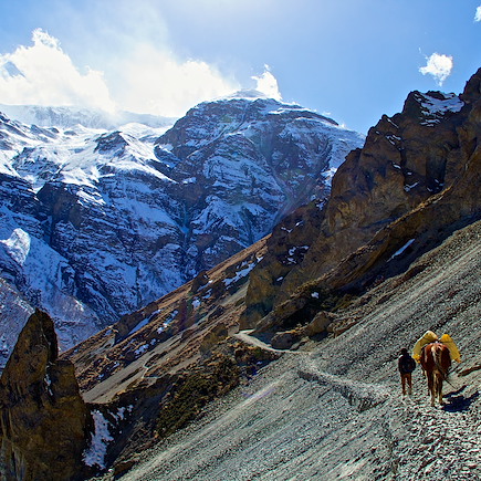 Trek Népal Annapurnas