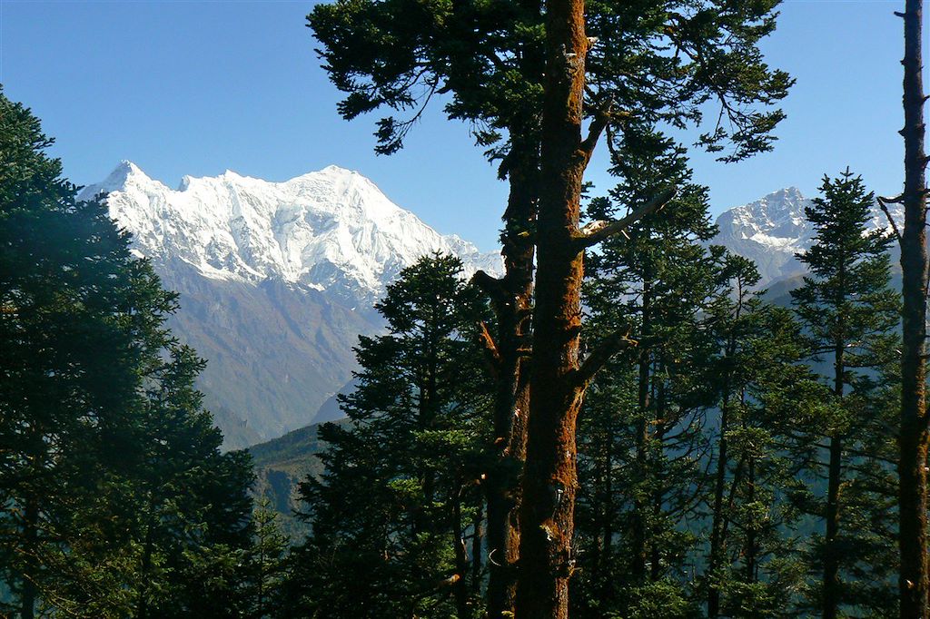 Image Voyage Himalaya - Trek Langtang