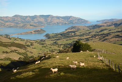 Akaroa - Péninsule de Banks - Nouvelle-Zélande