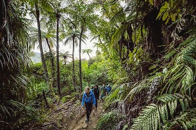 Queen Charlotte Track - Marlborough - Nouvelle-Zélande 