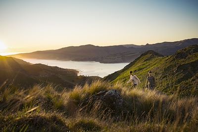 Balade aux alentours de Christchurch 