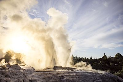 Geyser à Rotorua