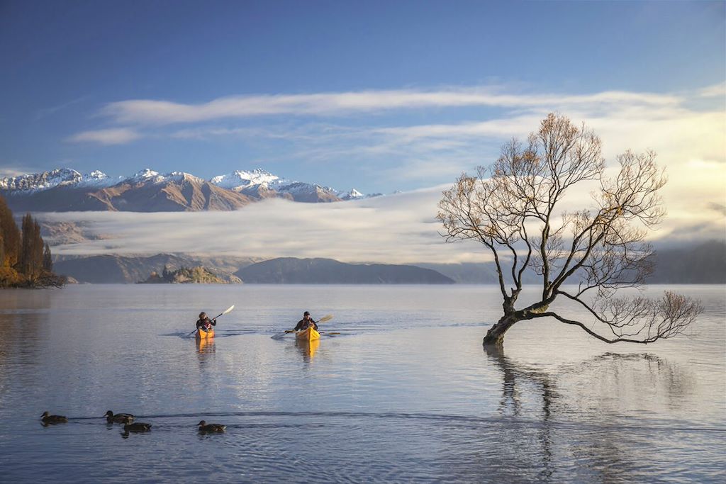 Image Trek Banks Track - Kayak Abel Tasman - Randonnée Mont Cook