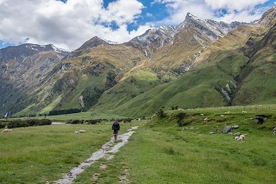 © Stanislas Gros - Vers Rob Roy Glacier- Nouvelle-Zélande Vers Rob Roy Glacier- Nouvelle-Zélande