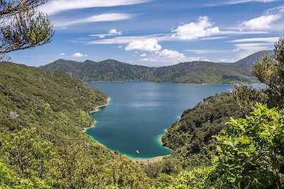 © Stanislas Gros - Queen Charlotte Track - Nouvelle-Zélande Queen Charlotte Track - Nouvelle-Zélande